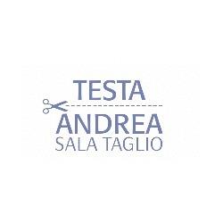 Testa Andrea Sala Taglio Abbigliamento e Tessuti Tecnici per L'Industria, Romentino orari di apertura