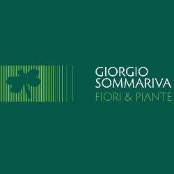 Sommariva Giorgio Fiori e Piante, Genova orari di apertura