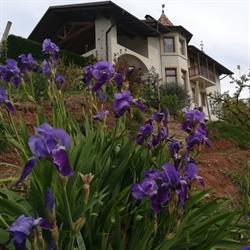Agriturismo Maso Pomarolli, Giovo orari di apertura
