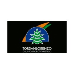 Torsanlorenzo Gruppo Florovivaistico, Ardea orari di apertura