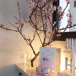 Beauty Spa, Treviso orari di apertura