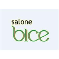 Salone Bice, Bologna orari di apertura