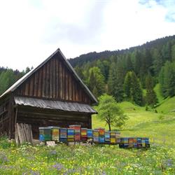 Apicoltura Ornella, Zoppola orari di apertura