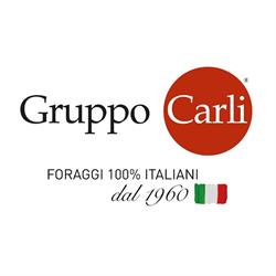 Gruppo Carli - Partecipazioni SPA, Pietracuta orari di apertura