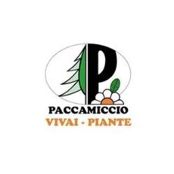 Paccamiccio Vivai e Piante, Recanati orari di apertura