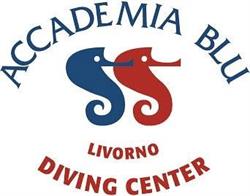 Accademia Blu, Livorno orari di apertura