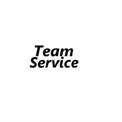 Vendita Pneumatici Team Service, Mantova orari di apertura