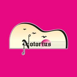 Notorius Strumenti Musicali SNC, Villafranca di Verona orari di apertura