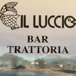 Il Luccio Bar Ristorante Pranzi di Lavoro Carne e Pesce, Viareggio orari di apertura
