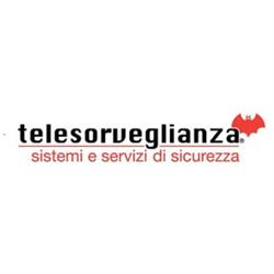 Telesorveglianza Sistemi e Servizi di Sicurezza, Trieste orari di apertura