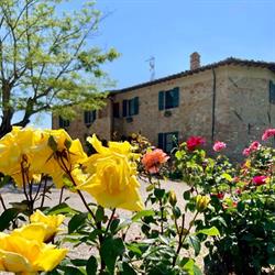 La Fornace Di Racciano, San Gimignano orari di apertura