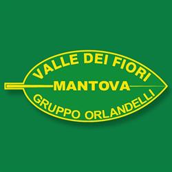 Valle Dei Fiori - Gruppo Orlandelli, Mantova orari di apertura