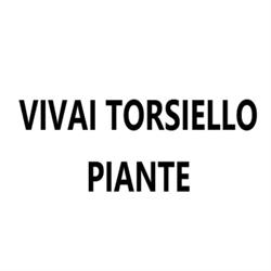 Vivaio Piante Torsiello Cav. Quinto di Torsiello Carmen, Bibbiano orari di apertura