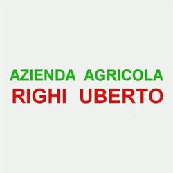 Azienda Agricola Righi Uberto, San Martino in Rio orari di apertura