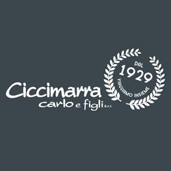 Ciccimarra Carlo & Figli Srl - Noleggio Autobus e Noleggio con conducente NCC, Cisternino orari di apertura