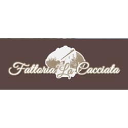 Fattoria La Cacciata Azienda Agrituristica Vitivinicola, Orvieto orari di apertura