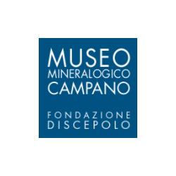Museo Mineralogico Campano, Vico Equense orari di apertura