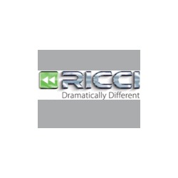 Officine Meccaniche Ricci Franco - Revisione e Riparazione Cambi Automatici Bagno di Romagna, S. Piero In Bagno - Orari di apertura