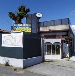Pedrinzani S.R.L., Marina di Massa orari di apertura